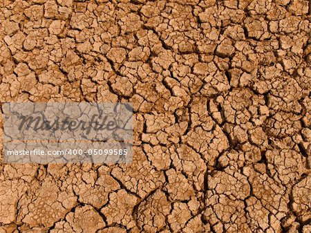 A baked earth soil after a long drought.