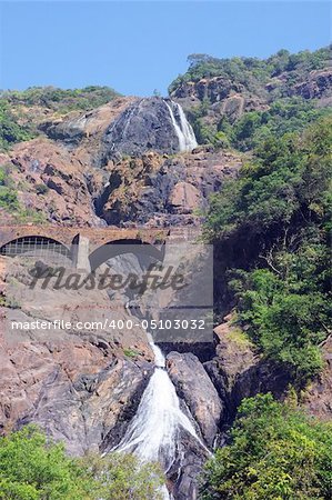 Dudhsagar waterfall in jungle forest in India (GOA, Karnataka)