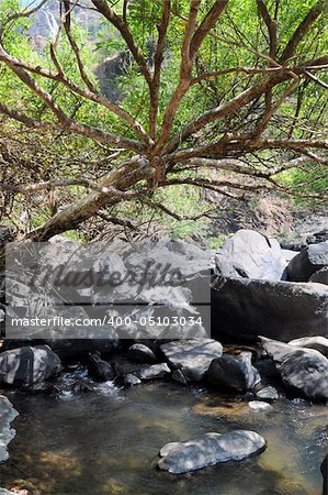 Small mountaineous river (creek) with waterfall in forest