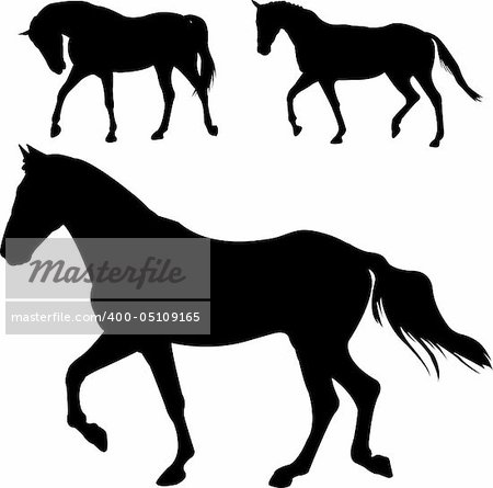 horses silhouettes - vector