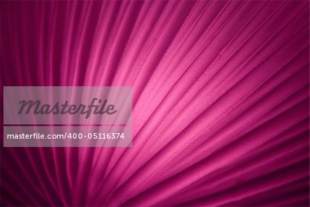 Abstract background with curved soft lines