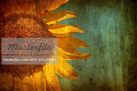 Sunflower with grunge texture