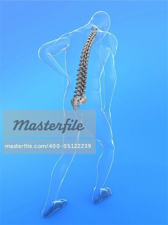 3d rendered illustration of a transparent male body with backache