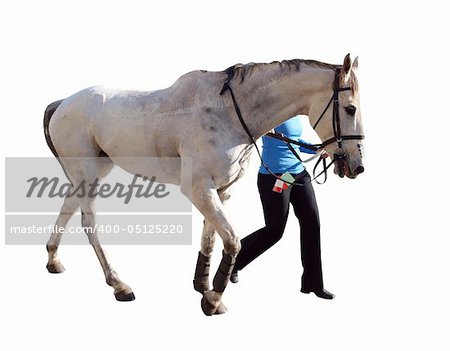Dappled Racehorse and Handler isolated with clipping path