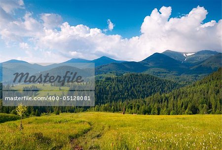Summer blossoming green mountainside (Carpathian Mt-s, Ukraine).