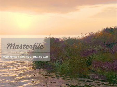 Sunset. A coastal line in thrickets of a grass on a background of a decline