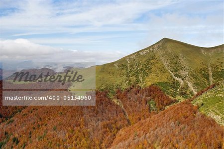 The autumn colors in the national park