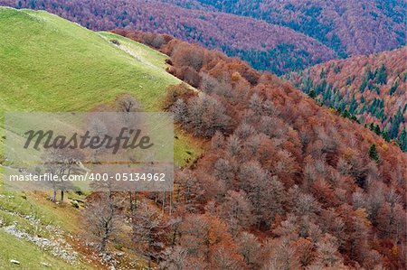 The autumn colors in the national park