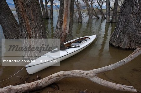 white decked expedition canoe with paddle and hat in a submerged cottonwood forest on mountain lake