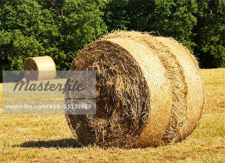 classic hay bales in field, rural scene