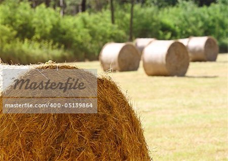 close up of golden classic hay bail rural background