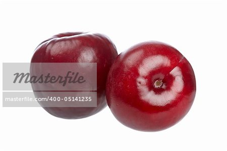 Two fresh plums isolated on white background