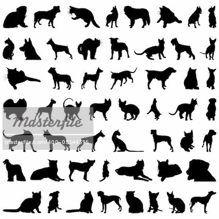 Set # 2 of different vector pets silhouettes for design use