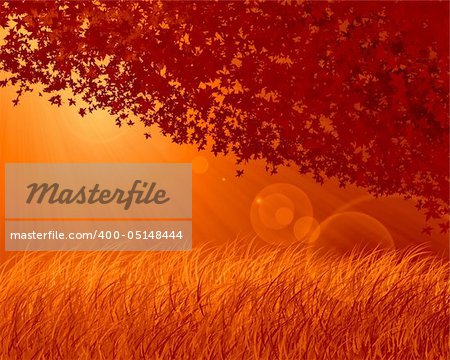 Abstract forest background, autumn theme