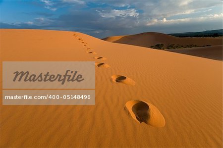 Footprints in Coral Pink Sand Dunes State Park near Zion, Utah