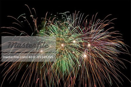 multi colored firework flowers