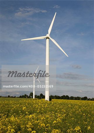 Alternative energies - Windmills and a rape field