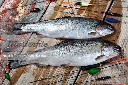 Collection of fly fishing