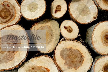 Stacked logs for winter firewood, wooden texture background