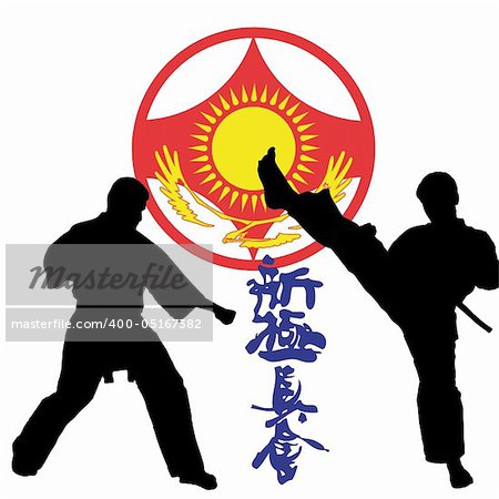 KARATE SHINKYOKUSHINKAI