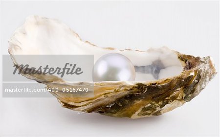 White pearl is in a shell.
