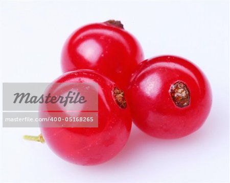 Currant red; Objects on white background