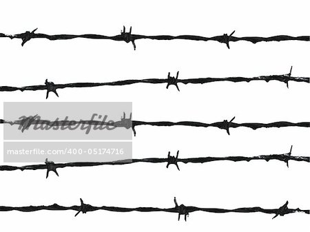 Barbed wire isolated against white background