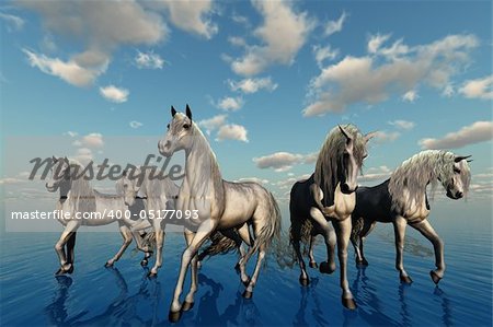 A group of horses with the same breed, temperament and color represent harmony.
