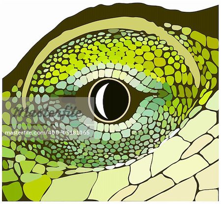 Eye of a reptile. Vector art in EPS format.