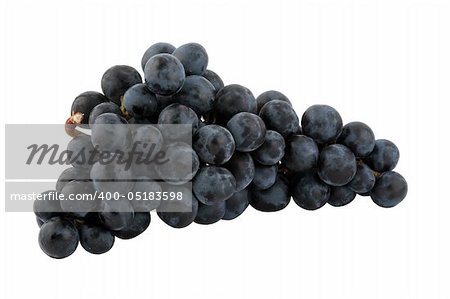 bunch of fresh blue grapes, isolated on white background