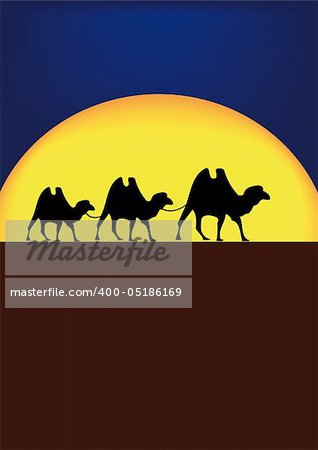 nice illustration of camels on desert in night