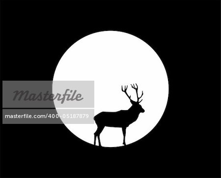 deer under the moon, vector illustration