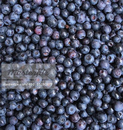 very nice fresch blueberries natural food  background