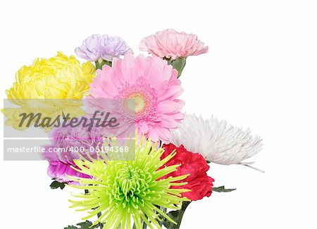 Bunch of colorful flower isolated on white