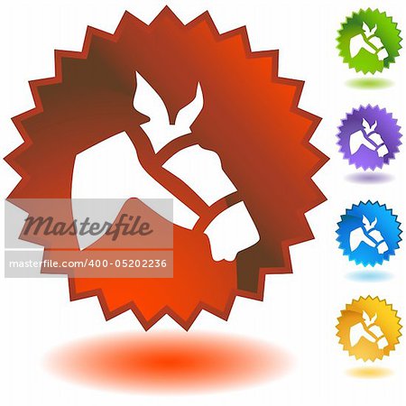Racing horse icon isolated on a white background.