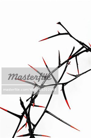 Crown of thorns close-up - black with blood-red thorn points, isolated on white, room for copy.