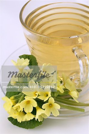Healthy herbal tea made from freshly picked primroses