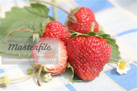 Red nice strawberry laying on the tablecloth