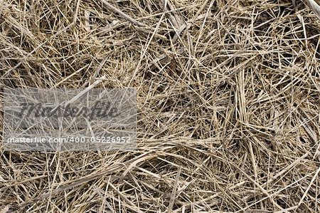 Fresh hay texture close up