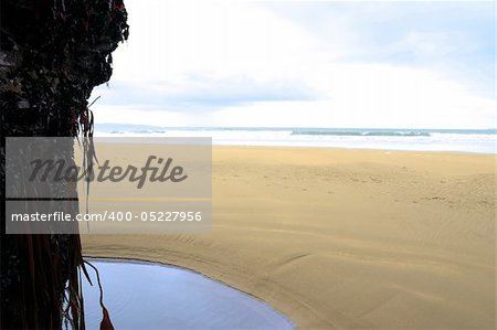 seaweed hanging from a cliff on the ballybunion coastline on irelands west coast