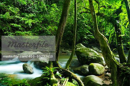 A mountain river with stream falling into it.