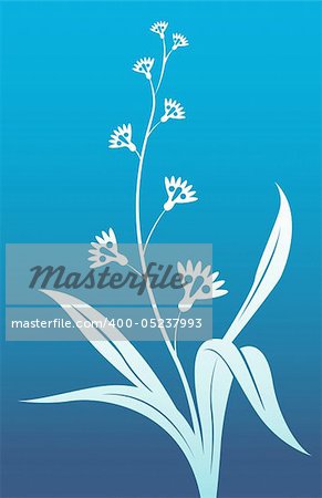 drawing of beautiful white flower in a blue background
