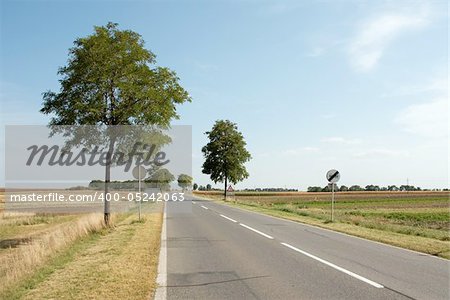 Road going through the countryside