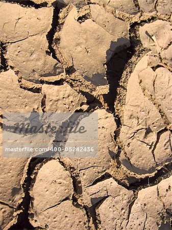 Close-up of cracked Earth. Dried Ground Texture