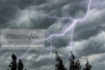 The lighting in dark stormy clouds and tree tops