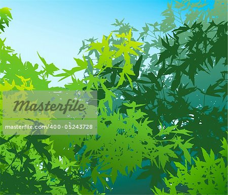 Colorful landscape of summer foliage - Vector illustration. The different graphics are on separate layers so they can easily be moved or edited individually