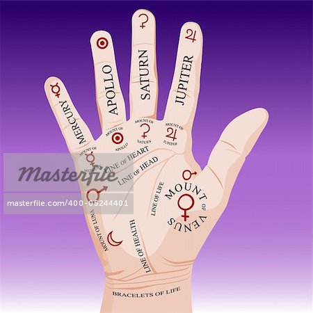 Palm Reading Palmistry