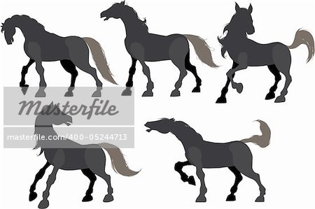 Five silhouette frolicking horses isolated on white