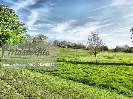 Primrose Hill park in London, England, UK - high dynamic range HDR