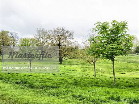 Primrose Hill park in London, England, UK - high dynamic range HDR